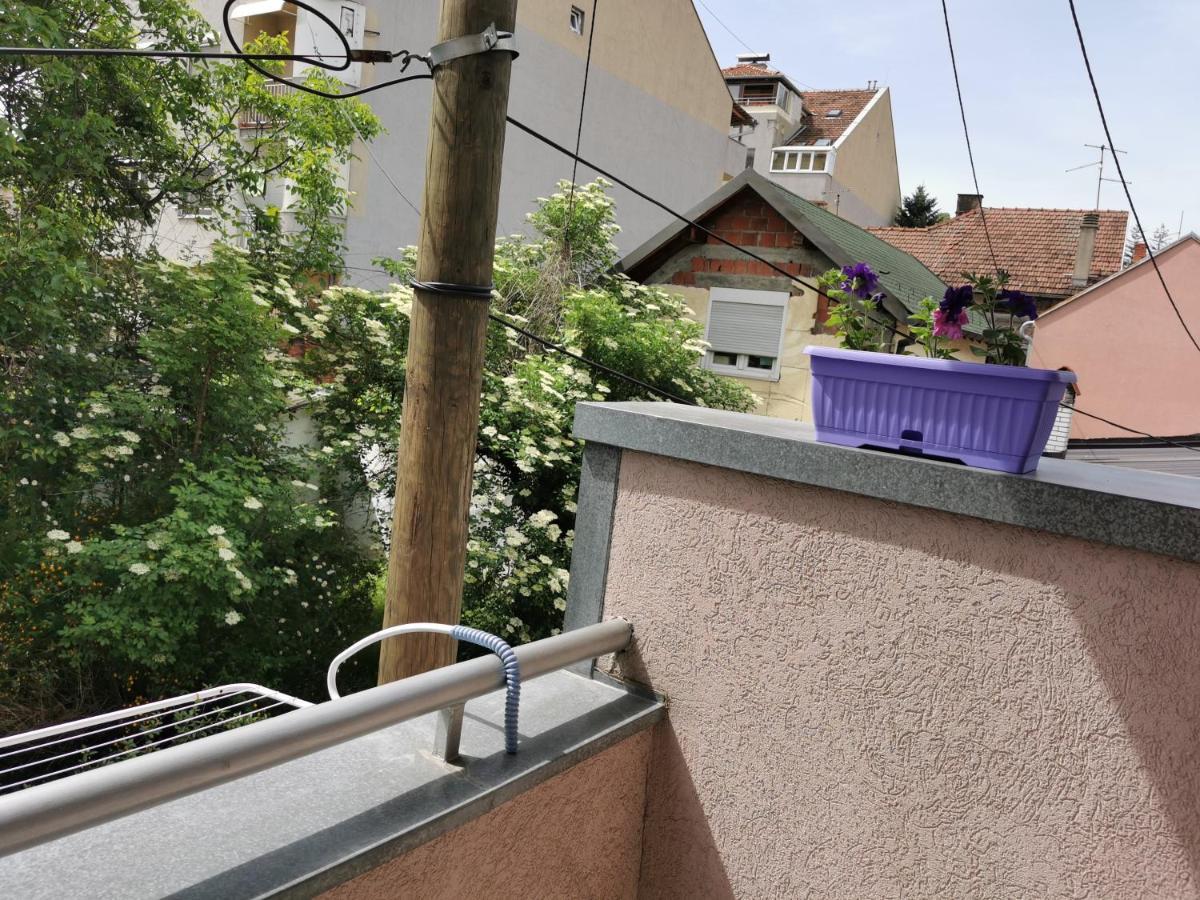 Apartmani Milica 쿠르셰바츠 외부 사진